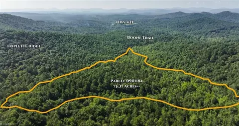 0000 Boone Trl, Purlear, NC 28665 photo 12