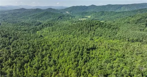 0000 Boone Trl, Purlear, NC 28665 photo 23