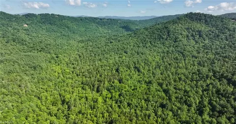 0000 Boone Trl, Purlear, NC 28665 photo 33