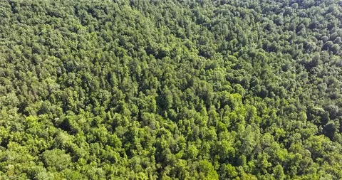 0000 Boone Trl, Purlear, NC 28665 photo 37
