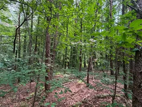 0 J P Lynch Rd, Pilot Mountain, NC 27041 photo 5