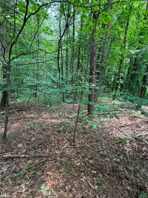 0 J P Lynch Rd, Pilot Mountain, NC 27041 photo 4