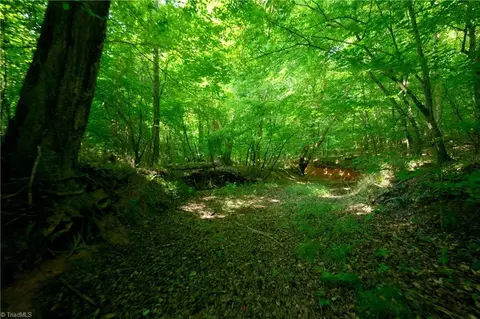 0 Todd Rd, Advance, NC 27006 photo 25