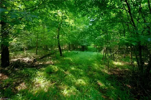 0 Todd Rd, Advance, NC 27006 photo 39