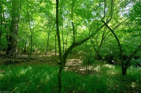 0 Todd Rd, Advance, NC 27006 photo 23