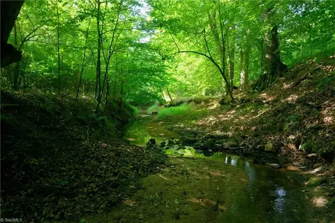 0 Todd Rd, Advance, NC 27006 photo 29