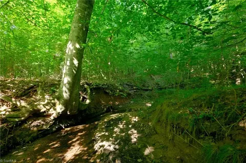 0 Todd Rd, Advance, NC 27006 photo 24