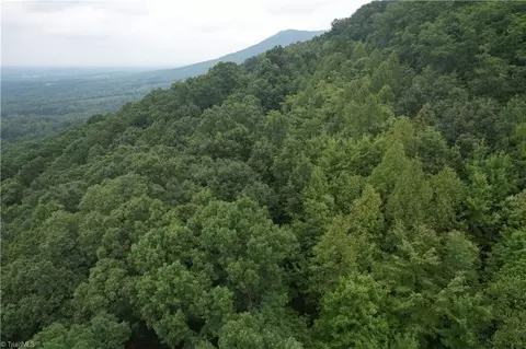 0 Pine Tree Dr, Pinnacle, NC 27043 photo 4