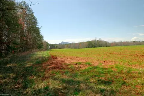 4 Old Mill Rd, Pinnacle, NC 27043 photo 3