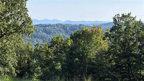 000 Carriage House Trl #LOT 157, Mcgrady, NC 28649