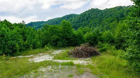 tbd 7 Big Laurel Rd, Creston, NC 28615 photo 3