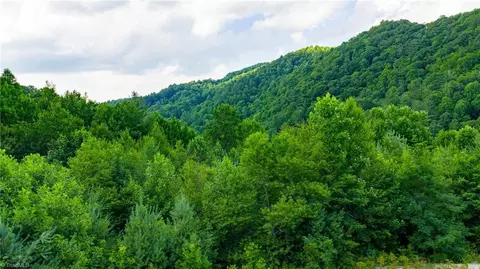 tbd 7 Big Laurel Rd, Creston, NC 28615 photo 13
