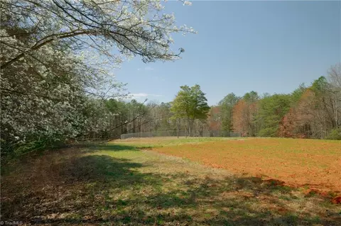 5 Old Mill Rd, Pinnacle, NC 27043 photo 7