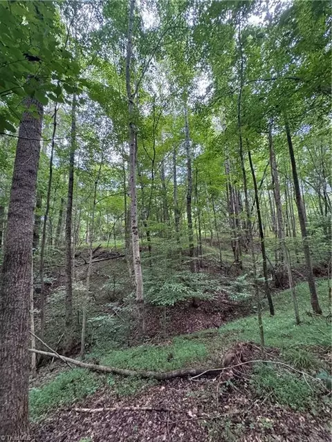0 Johnson Rd, King, NC 27021 photo 6