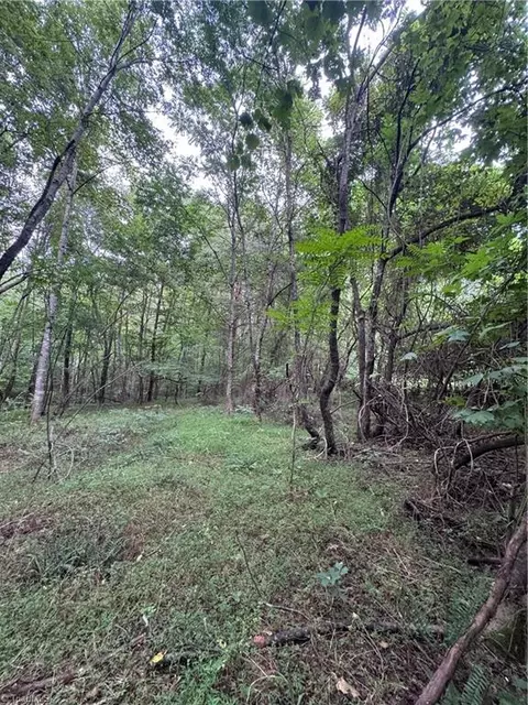 0 Johnson Rd, King, NC 27021 photo 8
