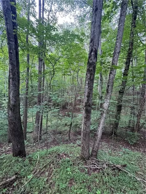 0 Johnson Rd, King, NC 27021 photo 9
