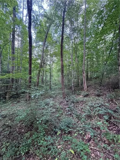 0 Johnson Rd, King, NC 27021 photo 12