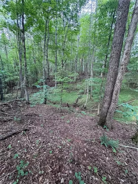 0 Johnson Rd, King, NC 27021 photo 10