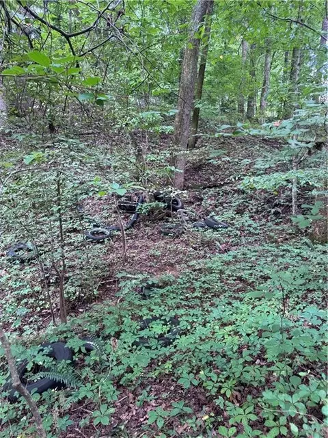 0 Johnson Rd, King, NC 27021 photo 5