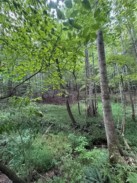 0 Johnson Rd, King, NC 27021 photo 13