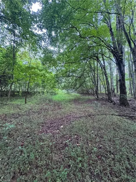 0 Johnson Rd, King, NC 27021 photo 7