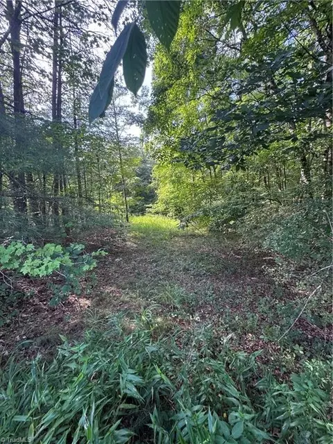 0 Johnson Rd, King, NC 27021 photo 14