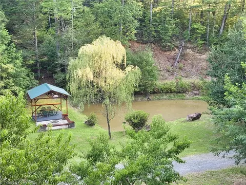 Other - 1647 Staghorn Rd, Purlear, NC 28665 photo 9 of 14
