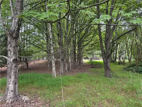 207 Cockerham Rd, Elkin, NC 28621 photo 5