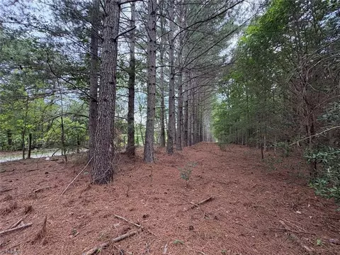 207 Cockerham Rd, Elkin, NC 28621 photo 39