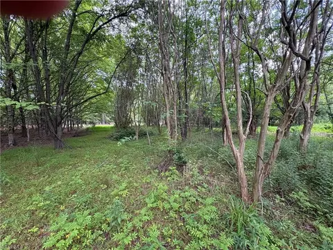 207 Cockerham Rd, Elkin, NC 28621 photo 4