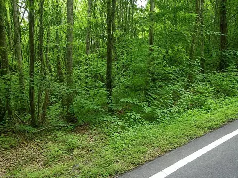 0 Sheppard Mill Rd, Danbury, NC 27016