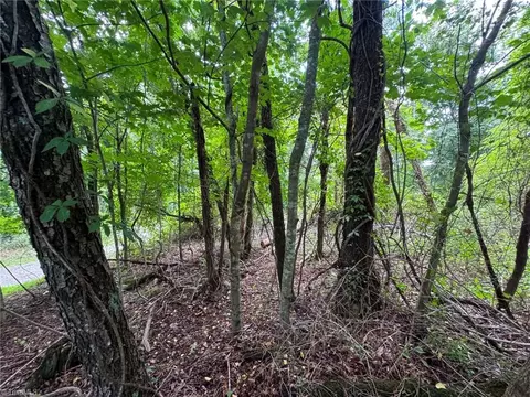 Other - tbd Wind Ridge Rd, Sparta, NC 28675 photo 7 of 9