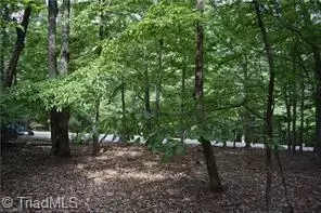 71 Grandview Dr, Traphill, NC 28685 photo 9