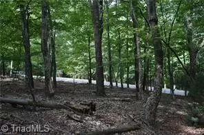 71 Grandview Dr, Traphill, NC 28685 photo 6