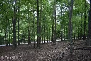 71 Grandview Dr, Traphill, NC 28685 photo 8