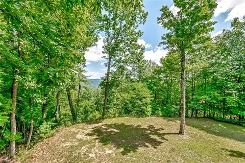 Exterior - 1050 Staghorn Rd, Purlear, NC 28665 photo 4 of 4