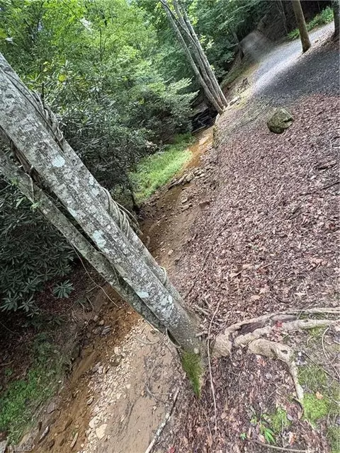 Other - 910 Hanks St, Traphill, NC 28685 photo 9 of 15
