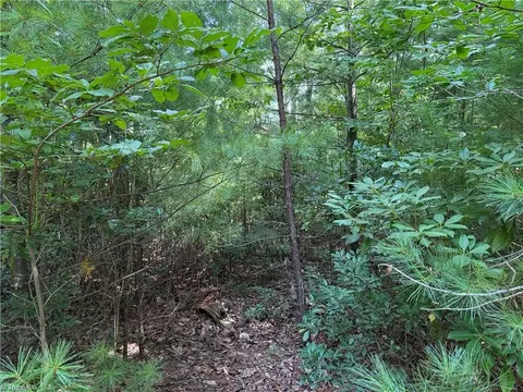 Exterior - lot119 Rich Pine Dr, Purlear, NC 28665 photo 3 of 13