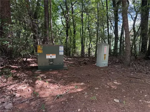 Other - lot119 Rich Pine Dr, Purlear, NC 28665 photo 1 of 15
