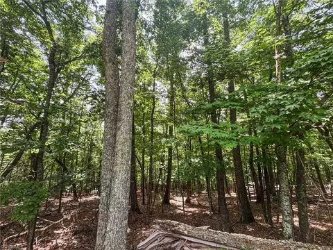 tbd Timber Ridge Rd, Mcgrady, NC 28649 photo 10