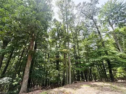 tbd Timber Ridge Rd, Mcgrady, NC 28649 photo 5