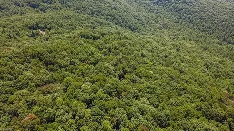 tbd Timber Ridge Rd, Mcgrady, NC 28649 photo 18