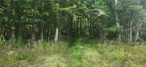 0 Lyons Rd, Roaring Gap, NC 28668 photo 4