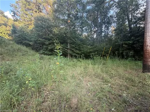 0 Us Highway 421 W, Purlear, NC 28665 photo 6