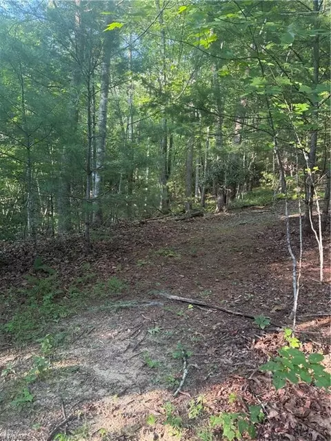 0 Us Highway 421 W, Purlear, NC 28665 photo 19