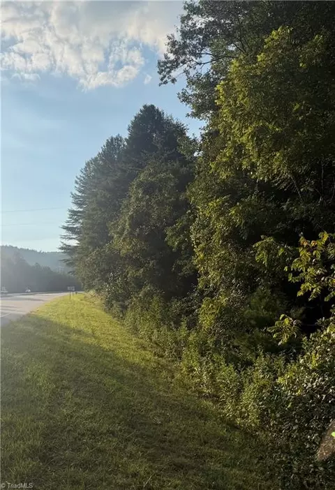 0 Us Highway 421 W, Purlear, NC 28665 photo 4