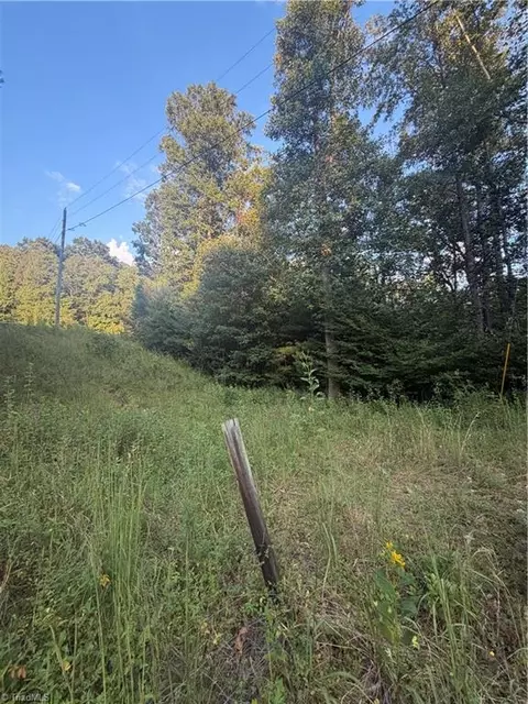 0 Us Highway 421 W, Purlear, NC 28665 photo 7