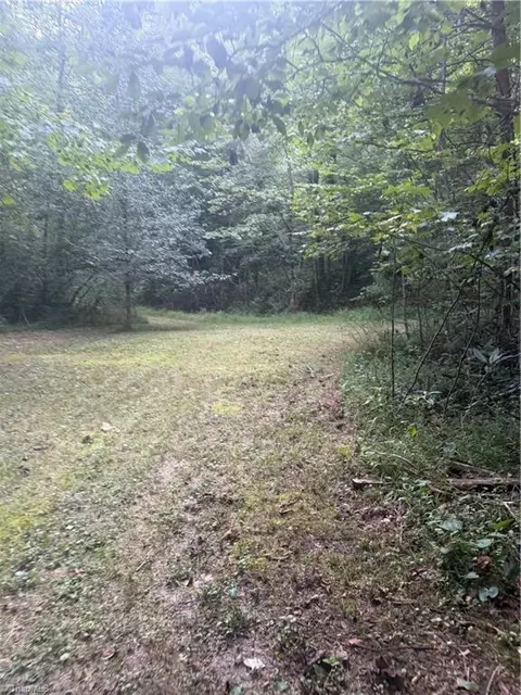 0 Us Highway 421 W, Purlear, NC 28665 photo 12