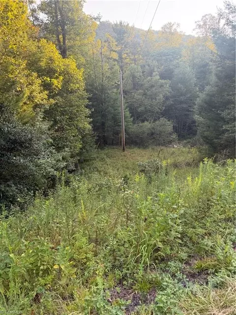 0 Us Highway 421 W, Purlear, NC 28665 photo 5
