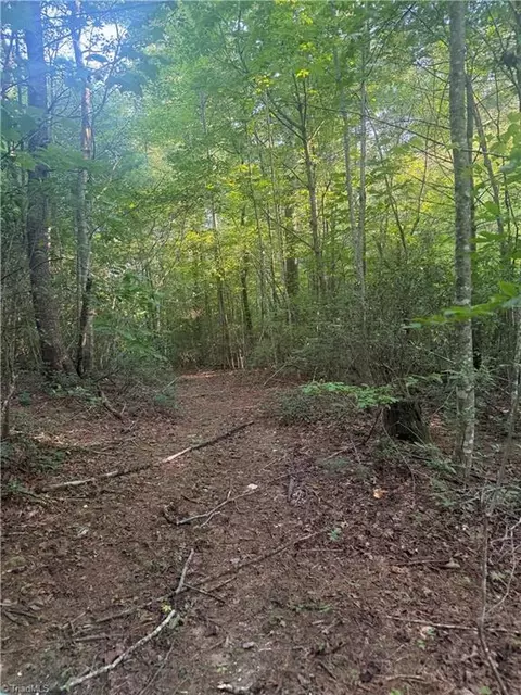 0 Us Highway 421 W, Purlear, NC 28665 photo 15